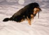 Filename=elias_ratte.jpg
Filesize=19KB
Dimensions=301x222
Date added=Sep 24, 2006 elias_ratte.jpg