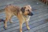 Filename=12380919_605950936236050_1849937498_o.jpg
Filesize=97KB
Dimensions=1024x678
Date added=Mar 17, 2016 12380919_605950936236050_1849937498_o.jpg