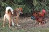 Filename=20091230_ALWIN_008.JPG
Filesize=532KB
Dimensions=1024x683
Date added=Jan 10, 2011 20091230_ALWIN_008.JPG