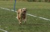 Filename=20616958_869990926485307_7989771222803854159_o_(Mittel).jpg
Filesize=124KB
Dimensions=1190x768
Date added=Sep 19, 2017 20616958_869990926485307_7989771222803854159_o_(Mittel).jpg