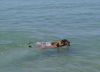Filename=Akira_und_Bionda_im_Meer.JPG
Filesize=150KB
Dimensions=640x463
Date added=Jul 26, 2008 Akira_und_Bionda_im_Meer.JPG