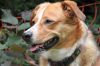 Filename=Alfred~0.jpg
Filesize=105KB
Dimensions=800x533
Date added=Oct 29, 2017 Alfred~0.jpg