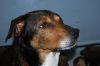 Filename=AnnCharlotte_web.jpg
Filesize=75KB
Dimensions=640x428
Date added=Aug 23, 2008 AnnCharlotte_web.jpg