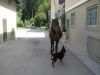 Filename=Arri_Keltoi_Noreia.JPG
Filesize=57KB
Dimensions=640x480
Date added=Jul 26, 2017 Arri_Keltoi_Noreia.JPG