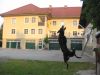 Filename=Arri_Keltoi_Noreia_3.JPG
Filesize=61KB
Dimensions=640x480
Date added=Jul 26, 2017 Arri_Keltoi_Noreia_3.JPG