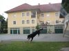 Filename=Arri_Keltoi_Noreia_4.JPG
Filesize=59KB
Dimensions=640x480
Date added=Jul 26, 2017 Arri_Keltoi_Noreia_4.JPG