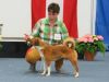 Filename=BIHE_Una_IHASalzburg16.jpg
Filesize=35KB
Dimensions=666x500
Date added=Jul 03, 2016 BIHE_Una_IHASalzburg16.jpg