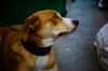 Filename=BIHE_Ywi_Tulln17(2).jpg
Filesize=142KB
Dimensions=1500x1000
Date added=Oct 01, 2017 BIHE_Ywi_Tulln17(2).jpg