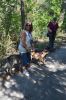 Filename=DSC_0950.JPG
Filesize=394KB
Dimensions=443x667
Date added=Feb 15, 2015 DSC_0950.JPG