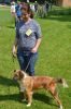 Filename=DSC_1068.jpg
Filesize=354KB
Dimensions=426x640
Date added=Sep 20, 2015 DSC_1068.jpg