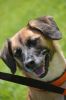 Filename=DSC_1162~0.jpg
Filesize=351KB
Dimensions=532x800
Date added=Sep 20, 2015 DSC_1162~0.jpg
