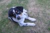 Filename=Enrico.jpg
Filesize=496KB
Dimensions=1203x800
Date added=Sep 10, 2013 Enrico.jpg