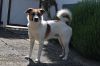 Filename=GRGE_Lesko(2).jpg
Filesize=90KB
Dimensions=640x426
Date added=Oct 06, 2016 GRGE_Lesko(2).jpg