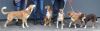 Filename=IHA_Klagenfurt16.jpg
Filesize=54KB
Dimensions=1024x318
Date added=Jul 03, 2016 IHA_Klagenfurt16.jpg