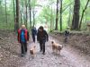 Filename=IMG_1754_(Mittel).JPG
Filesize=198KB
Dimensions=928x696
Date added=Sep 27, 2017 IMG_1754_(Mittel).JPG
