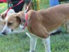 Filename=IMG_5674.JPG
Filesize=171KB
Dimensions=640x480
Date added=Jun 26, 2016 IMG_5674.JPG