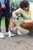 Filename=IMG_5851.JPG
Filesize=204KB
Dimensions=427x640
Date added=Jun 26, 2016 IMG_5851.JPG