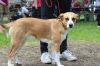 Filename=IMG_5853.JPG
Filesize=190KB
Dimensions=640x427
Date added=Jun 26, 2016 IMG_5853.JPG