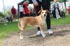Filename=IMG_5856.JPG
Filesize=225KB
Dimensions=640x427
Date added=Jun 26, 2016 IMG_5856.JPG