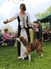Filename=IMG_5860.JPG
Filesize=223KB
Dimensions=480x640
Date added=Jun 26, 2016 IMG_5860.JPG