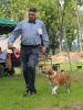Filename=IMG_5861.JPG
Filesize=266KB
Dimensions=480x640
Date added=Jun 26, 2016 IMG_5861.JPG
