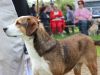 Filename=IMG_5866.JPG
Filesize=177KB
Dimensions=640x480
Date added=Jun 26, 2016 IMG_5866.JPG