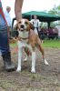 Filename=IMG_5881.JPG
Filesize=209KB
Dimensions=427x640
Date added=Jun 26, 2016 IMG_5881.JPG