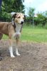 Filename=IMG_5922.JPG
Filesize=210KB
Dimensions=427x640
Date added=Jun 26, 2016 IMG_5922.JPG