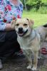 Filename=IMG_5945.JPG
Filesize=172KB
Dimensions=427x640
Date added=Jun 26, 2016 IMG_5945.JPG