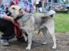 Filename=IMG_5951.JPG
Filesize=222KB
Dimensions=640x480
Date added=Jun 26, 2016 IMG_5951.JPG