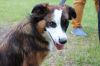 Filename=IMG_5956.JPG
Filesize=157KB
Dimensions=640x427
Date added=Jun 26, 2016 IMG_5956.JPG