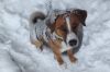 Filename=KAGR_Dojan(6).jpg
Filesize=86KB
Dimensions=800x533
Date added=Mar 17, 2016 KAGR_Dojan(6).jpg