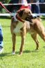 Filename=KAGR_Dojan.JPG
Filesize=192KB
Dimensions=427x640
Date added=Jun 25, 2017 KAGR_Dojan.JPG