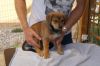 Filename=KENO_Anouk_Amiro.jpg
Filesize=90KB
Dimensions=800x533
Date added=Oct 03, 2016 KENO_Anouk_Amiro.jpg