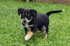 Filename=KENO_Arri(3).jpg
Filesize=191KB
Dimensions=800x533
Date added=Oct 03, 2016 KENO_Arri(3).jpg
