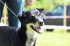 Filename=KENO_Arri.JPG
Filesize=116KB
Dimensions=640x427
Date added=Jun 25, 2017 KENO_Arri.JPG