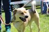 Filename=Leo(2).JPG
Filesize=142KB
Dimensions=640x427
Date added=Jun 25, 2017 Leo(2).JPG