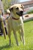 Filename=Lilo(2).JPG
Filesize=185KB
Dimensions=427x640
Date added=Jun 25, 2017 Lilo(2).JPG