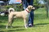Filename=Lilo(7).JPG
Filesize=237KB
Dimensions=640x427
Date added=Jun 25, 2017 Lilo(7).JPG