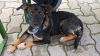 Filename=MAIKA_PITRE16(2).jpg
Filesize=142KB
Dimensions=800x448
Date added=Oct 03, 2016 MAIKA_PITRE16(2).jpg