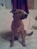 Filename=Neues_Bild.JPG
Filesize=847KB
Dimensions=1200x1600
Date added=Jan 14, 2009 Neues_Bild.JPG
