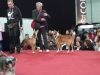 Filename=Ninja_und_Ferdi_SO.jpg
Filesize=71KB
Dimensions=960x720
Date added=Mar 06, 2017 Ninja_und_Ferdi_SO.jpg