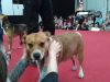 Filename=Ottilie_SO.jpg
Filesize=76KB
Dimensions=960x720
Date added=Mar 06, 2017 Ottilie_SO.jpg