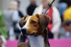 Filename=PESP_Toni_Tulln17.jpg
Filesize=178KB
Dimensions=1504x1000
Date added=Oct 01, 2017 PESP_Toni_Tulln17.jpg