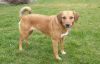 Filename=ROKA_Annerl.jpg
Filesize=168KB
Dimensions=800x512
Date added=Mar 17, 2016 ROKA_Annerl.jpg