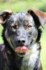 Filename=SCHLÖHO_Maika(2).JPG
Filesize=148KB
Dimensions=427x640
Date added=Jun 25, 2017 SCHLÖHO_Maika(2).JPG