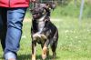 Filename=SCHLÖHO_Maika(6).JPG
Filesize=180KB
Dimensions=640x427
Date added=Jun 25, 2017 SCHLÖHO_Maika(6).JPG