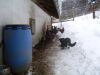 Filename=SDC10727.JPG
Filesize=275KB
Dimensions=1024x768
Date added=Mar 06, 2009 SDC10727.JPG