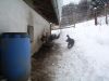 Filename=SDC10733.JPG
Filesize=272KB
Dimensions=1024x768
Date added=Mar 06, 2009 SDC10733.JPG