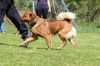 Filename=Schaf_Rendi(2).JPG
Filesize=182KB
Dimensions=640x427
Date added=Jun 25, 2017 Schaf_Rendi(2).JPG